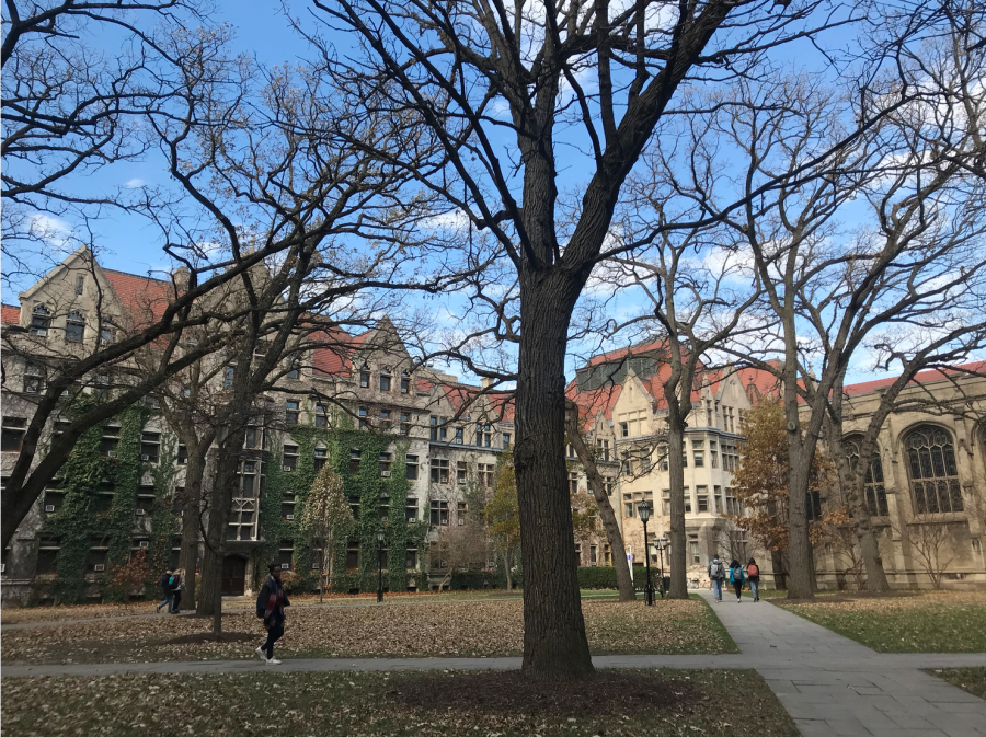 University of Chicago Experience