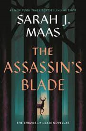 Look at a world through an assassin’s eyes in The Assassin’s Blade